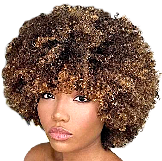Afro Natural Style 1