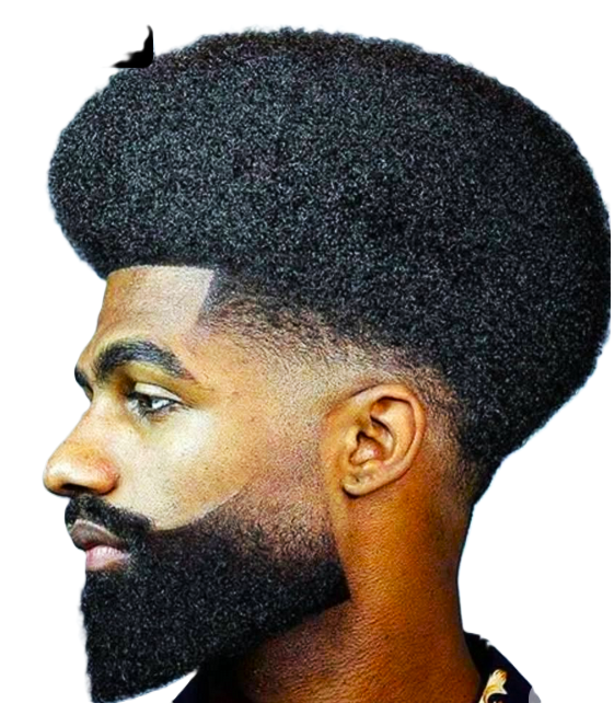 Beard Style 2