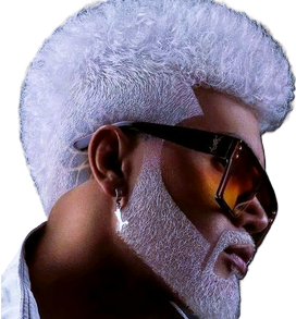 Beard Style 4