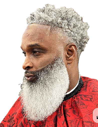 Beard Style 5